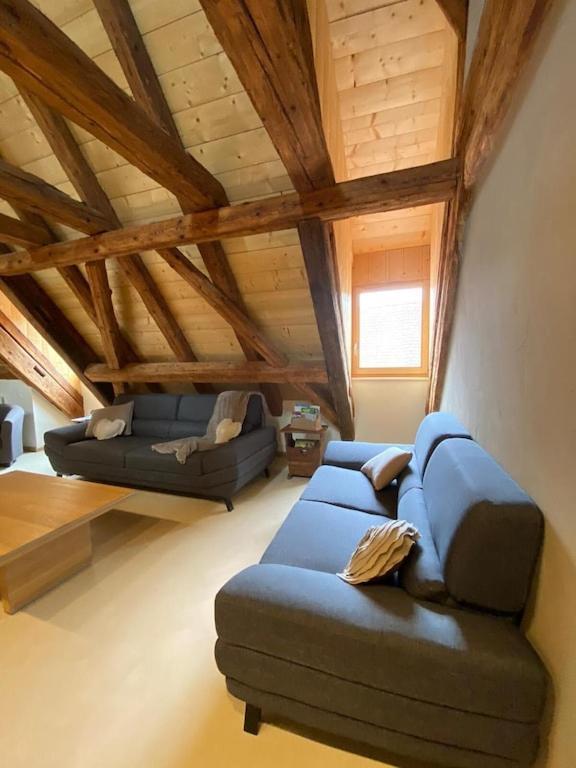 Maison De Charme En Alsace - In Vino Veritas - 12 Personnes Gueberschwihr Extérieur photo